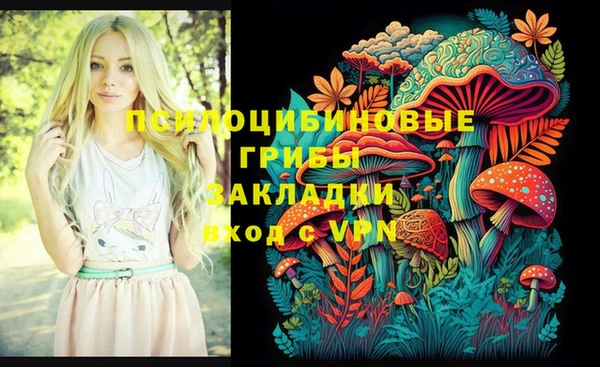 герыч Алзамай
