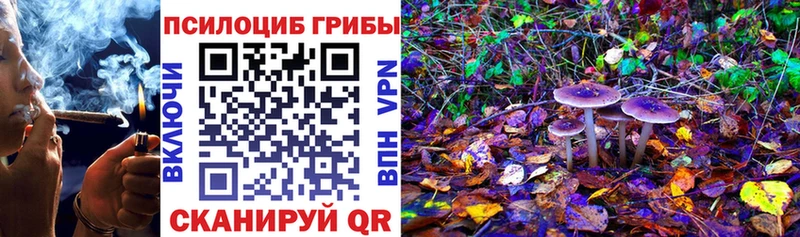 Псилоцибиновые грибы Magic Shrooms  Салават 